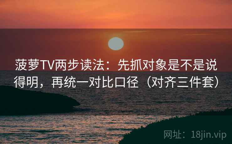 菠萝TV两步读法:先抓对象是不是说得明,再统一对比口径(对齐三件套)
